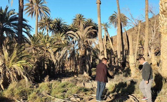 Finca de Ajuy Berdullas y Armas