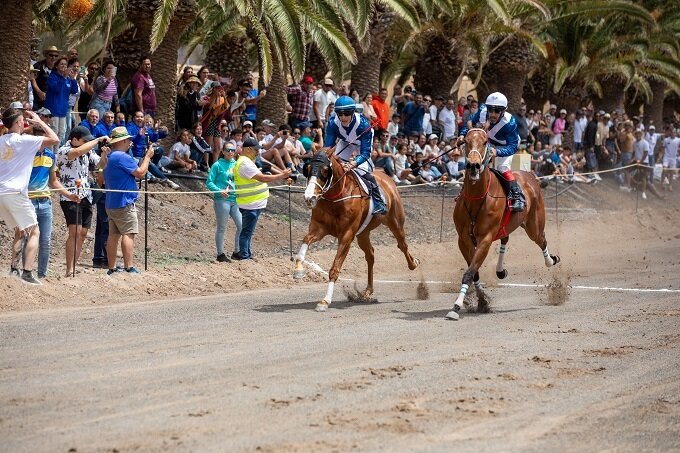 Caballos