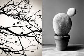 expo chema madoz 2